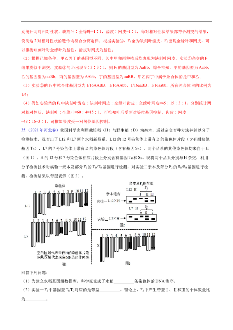 专题10基因的自由组合定律-五年（2019-2023）高考生物真题分项汇编（全国通用）（解析版）_赠送：2008-2024全套高考真题_高考生物真题