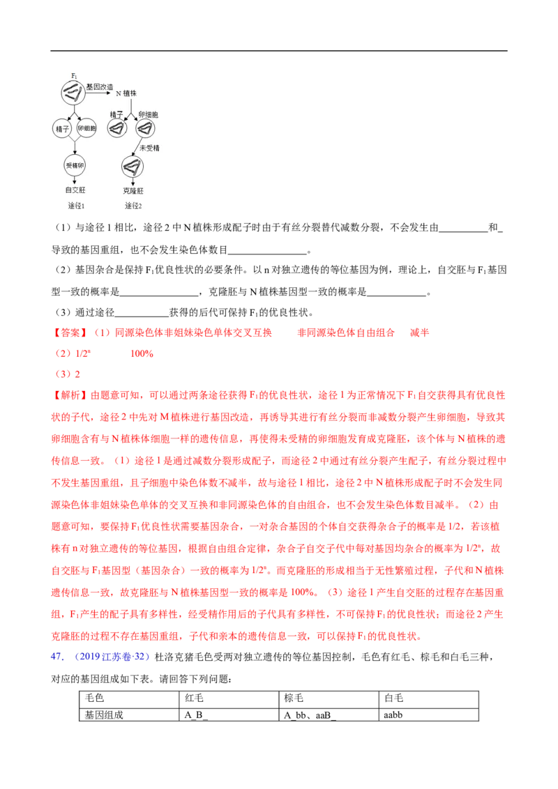 专题10基因的自由组合定律-五年（2019-2023）高考生物真题分项汇编（全国通用）（解析版）_赠送：2008-2024全套高考真题_高考生物真题