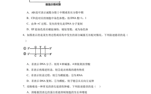 贵州省铜仁市2025届高三下学期3月模拟考试生物试题（含解析）_2025年3月_250325贵州省铜仁市2025届高三下学期3月模拟考试