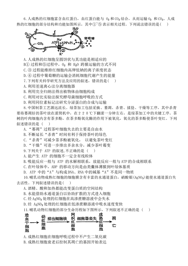 辽宁省鞍山市普通高中2024届高三上学期10月月考生物(1)_2023年10月_01每日更新_18号_2024届辽宁省鞍山市普通高中高三上学期10月月考