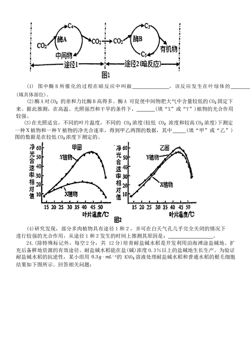 辽宁省鞍山市普通高中2024届高三上学期10月月考生物(1)_2023年10月_01每日更新_18号_2024届辽宁省鞍山市普通高中高三上学期10月月考