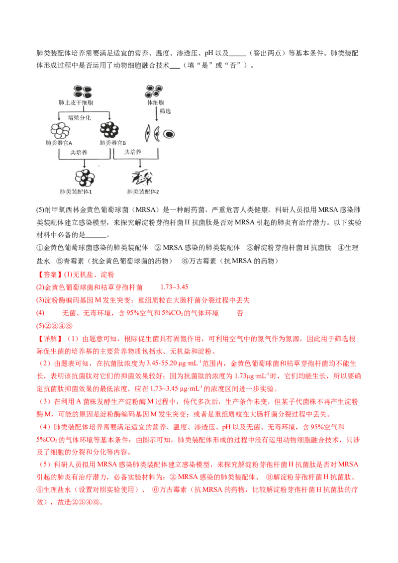 专题19发酵工程-五年（2019-2023）高考生物真题分项汇编（全国通用）（解析版）_赠送：2008-2024全套高考真题_高考生物真题_送高考生物五年真题(2019-2023)分项汇编（全国通用）
