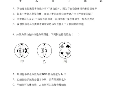 生物（湖南卷）（考试版）_2023高考押题卷_学易金卷-2023学科网押题卷（各科各版本）_2023学科网押题卷-学易金卷-生物_生物（湖南卷）-学易金卷：2023年高考考前押题密卷