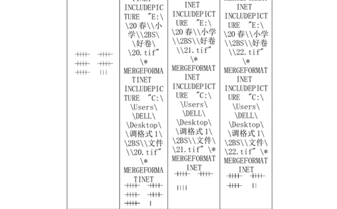 专项能力提升卷-统计与概率_二年级上下册资料_二年级语数英上下册学习资料_3-7-4、小学二年级数学下册_北师大版_6、专项练习