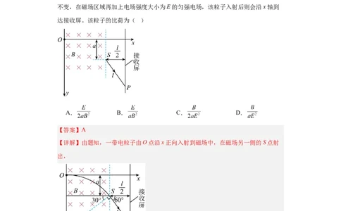 专题09磁场(解析版)_赠送：2008-2024全套高考真题_高考物理真题_送高考物理五年真题(2019-2023)分项汇编（全国通用）