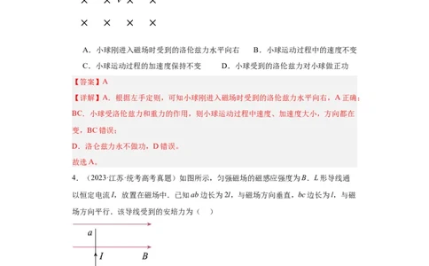 专题09磁场(解析版)_赠送：2008-2024全套高考真题_高考物理真题_送高考物理五年真题(2019-2023)分项汇编（全国通用）