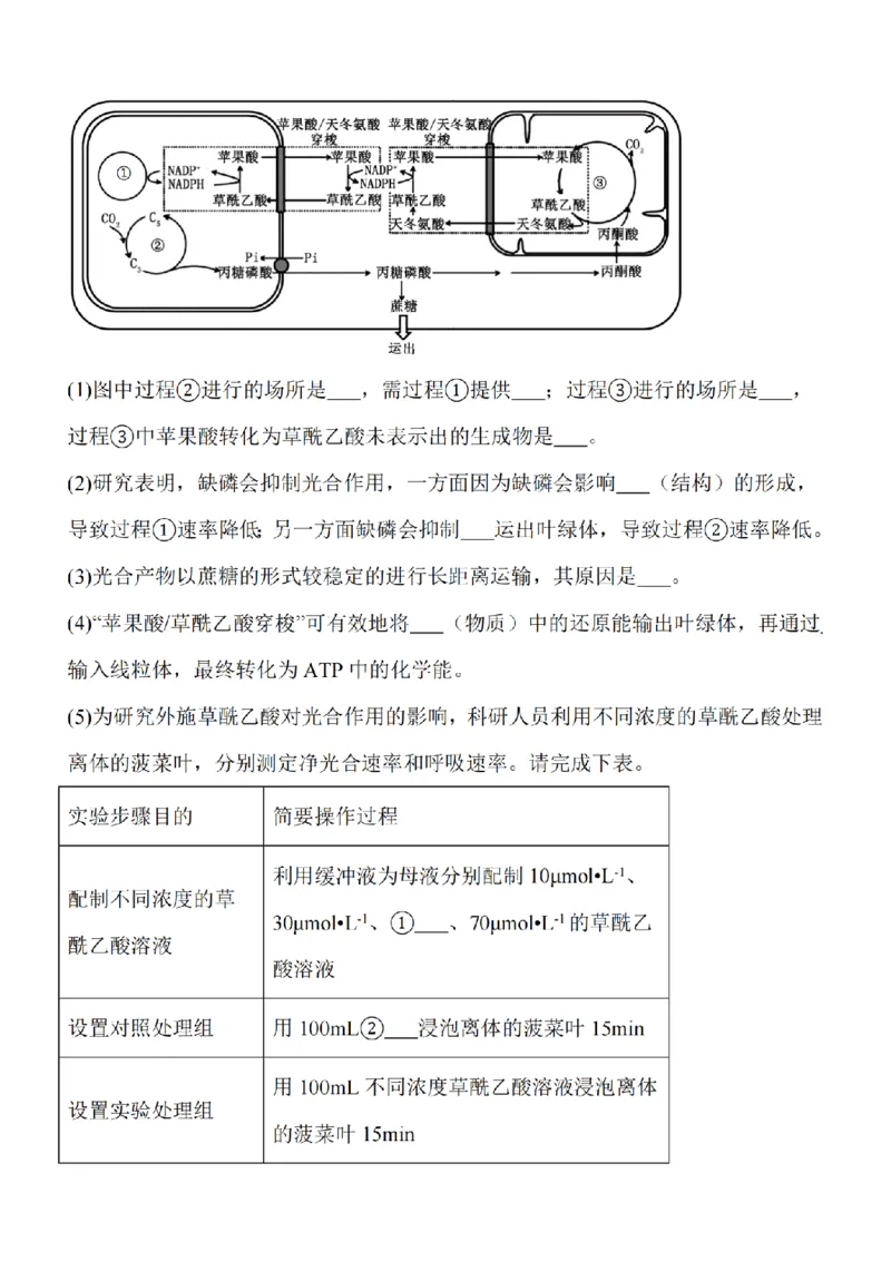 江苏省南通市2024届高三上学期10月份质量监测生物(1)_2023年10月_01每日更新_26号_2024届江苏省南通市高三上学期10月份质量监测