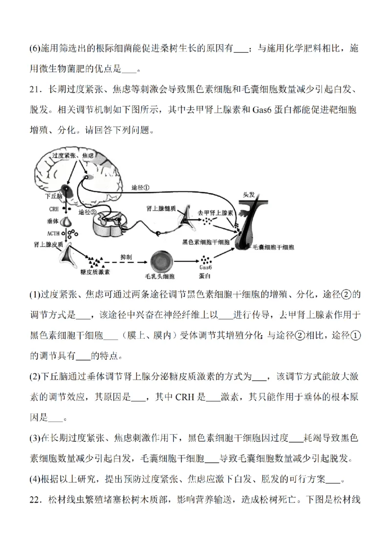 江苏省南通市2024届高三上学期10月份质量监测生物(1)_2023年10月_01每日更新_26号_2024届江苏省南通市高三上学期10月份质量监测