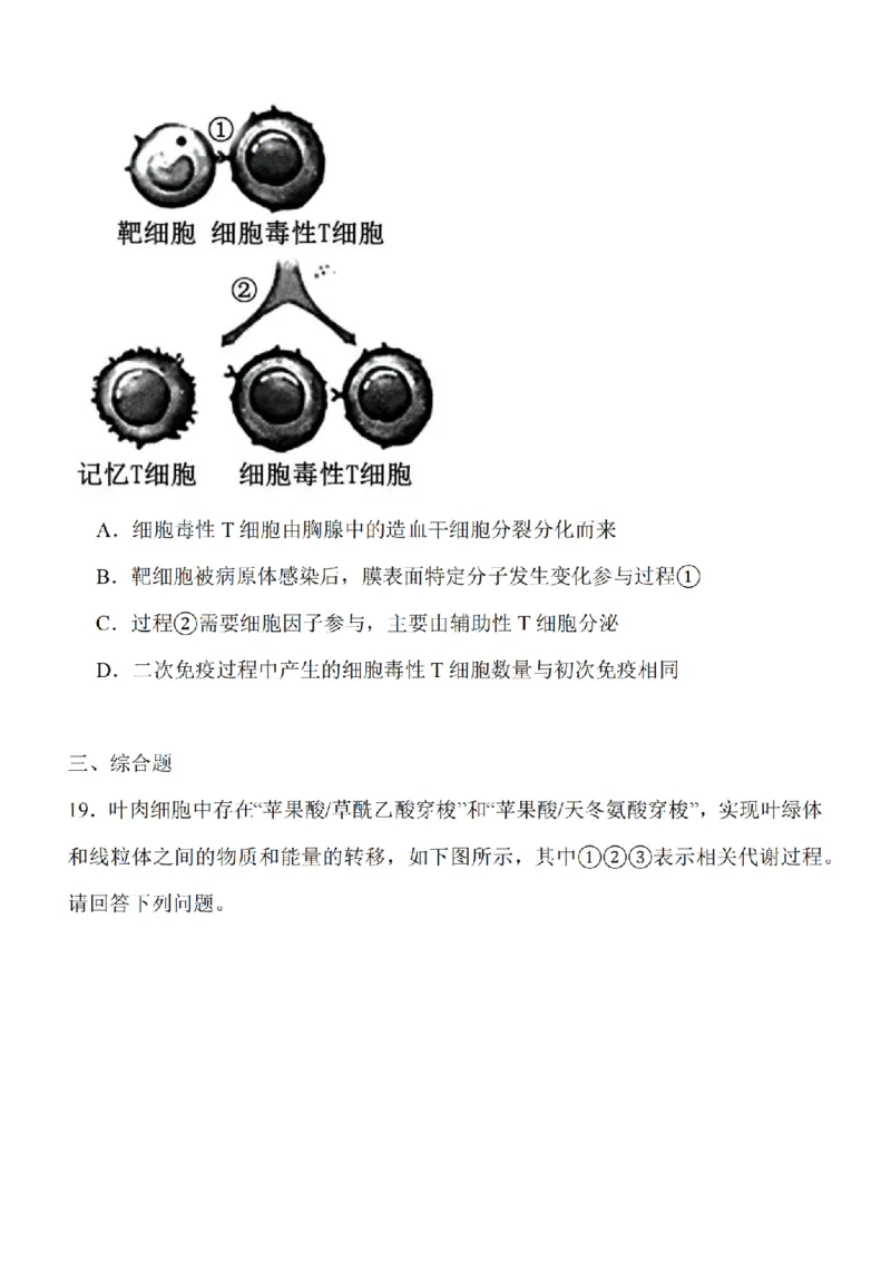 江苏省南通市2024届高三上学期10月份质量监测生物(1)_2023年10月_01每日更新_26号_2024届江苏省南通市高三上学期10月份质量监测