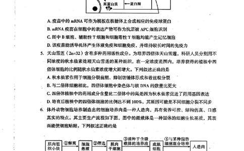 2024届新疆维吾尔自治区乌鲁木齐地区高三下学期第二次质量监测（二模）理综试题_2024年3月_013月合集_2024届新疆区乌鲁木齐高三下学期第二次质量监测