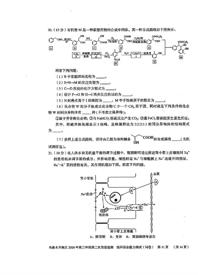 2024届新疆维吾尔自治区乌鲁木齐地区高三下学期第二次质量监测（二模）理综试题_2024年3月_013月合集_2024届新疆区乌鲁木齐高三下学期第二次质量监测