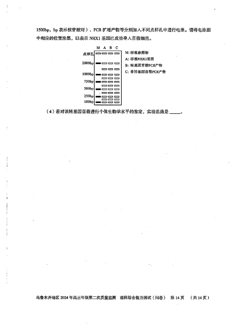 2024届新疆维吾尔自治区乌鲁木齐地区高三下学期第二次质量监测（二模）理综试题_2024年3月_013月合集_2024届新疆区乌鲁木齐高三下学期第二次质量监测