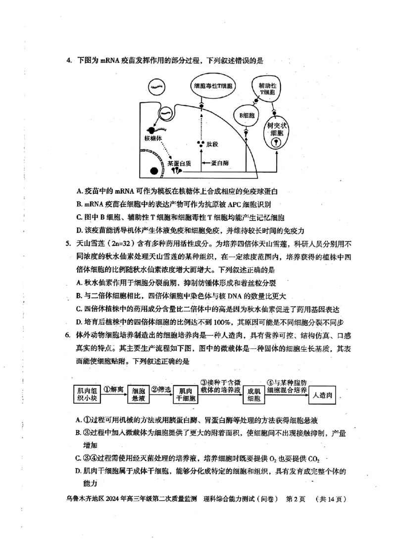 2024届新疆维吾尔自治区乌鲁木齐地区高三下学期第二次质量监测（二模）理综试题_2024年3月_013月合集_2024届新疆区乌鲁木齐高三下学期第二次质量监测