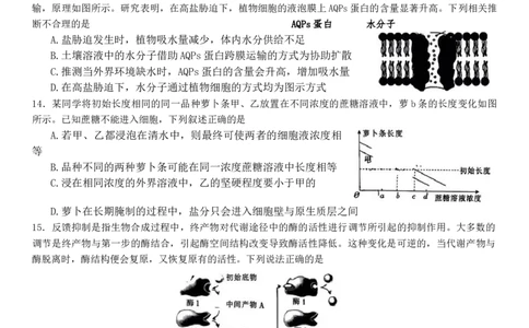 陕西省部分学校2024届高三上学期第一次联考（三角形角标▲）生物(1)_2023年9月_029月合集_2024届陕西省部分学校高三上学期第一次联考（三角形角标▲）