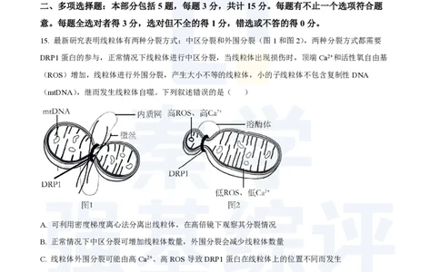 江苏省扬州中学2023-2024学年高三上学期10月月考生物(1)_2023年10月_0210月合集_2024届江苏省扬州中学高三上学期10月月考_江苏省扬州中学2024届高三上学期10月月考生物