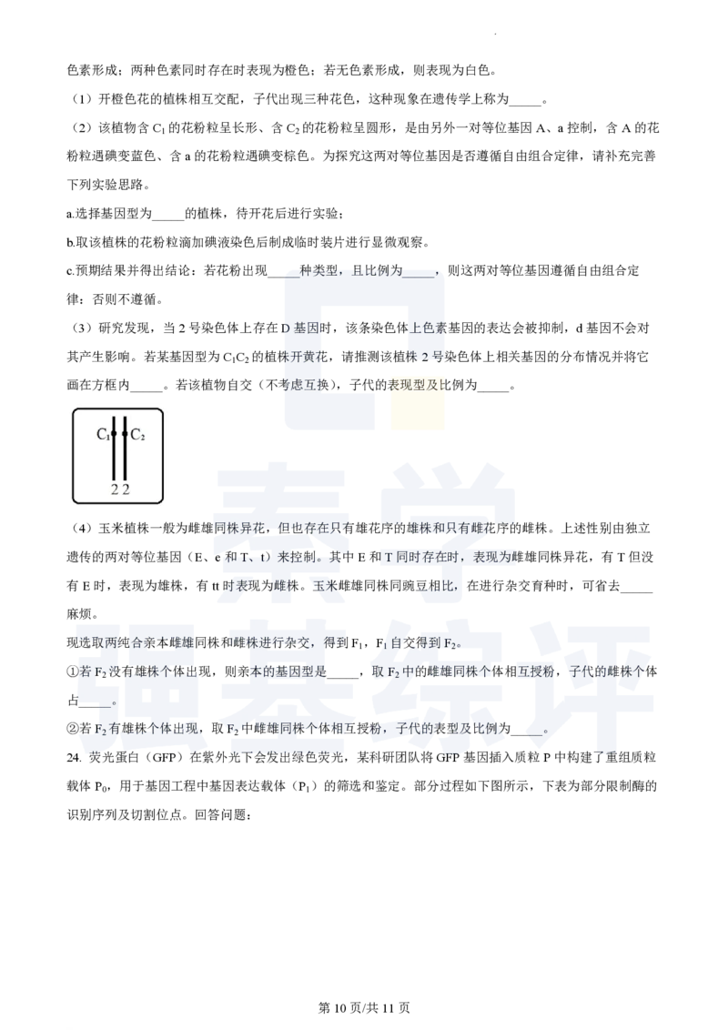 江苏省扬州中学2023-2024学年高三上学期10月月考生物(1)_2023年10月_0210月合集_2024届江苏省扬州中学高三上学期10月月考_江苏省扬州中学2024届高三上学期10月月考生物