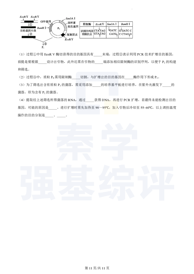 江苏省扬州中学2023-2024学年高三上学期10月月考生物(1)_2023年10月_0210月合集_2024届江苏省扬州中学高三上学期10月月考_江苏省扬州中学2024届高三上学期10月月考生物