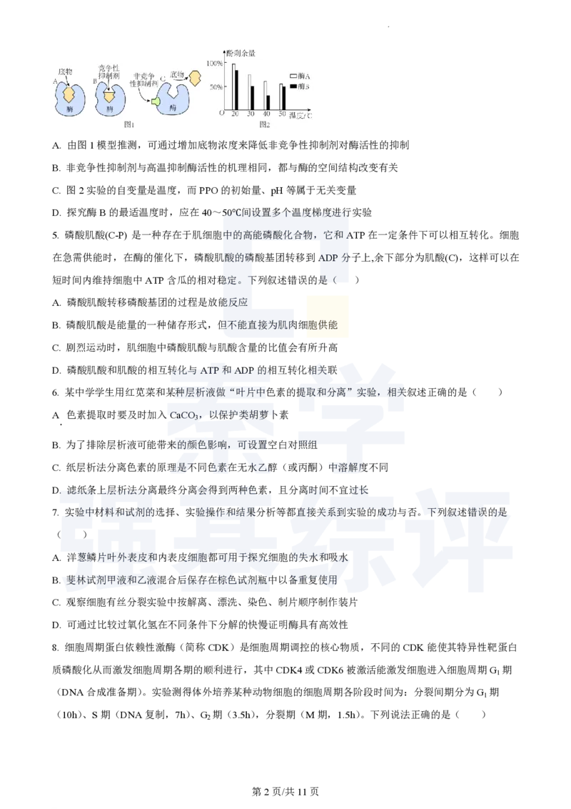 江苏省扬州中学2023-2024学年高三上学期10月月考生物(1)_2023年10月_0210月合集_2024届江苏省扬州中学高三上学期10月月考_江苏省扬州中学2024届高三上学期10月月考生物