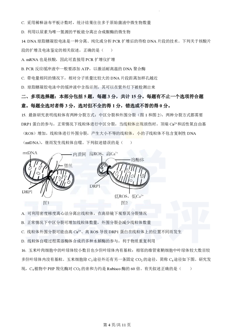 江苏省扬州中学2023-2024学年高三上学期10月月考生物(1)_2023年10月_0210月合集_2024届江苏省扬州中学高三上学期10月月考_江苏省扬州中学2024届高三上学期10月月考生物