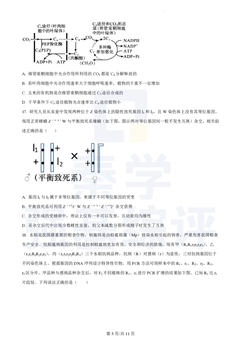 江苏省扬州中学2023-2024学年高三上学期10月月考生物(1)_2023年10月_0210月合集_2024届江苏省扬州中学高三上学期10月月考_江苏省扬州中学2024届高三上学期10月月考生物