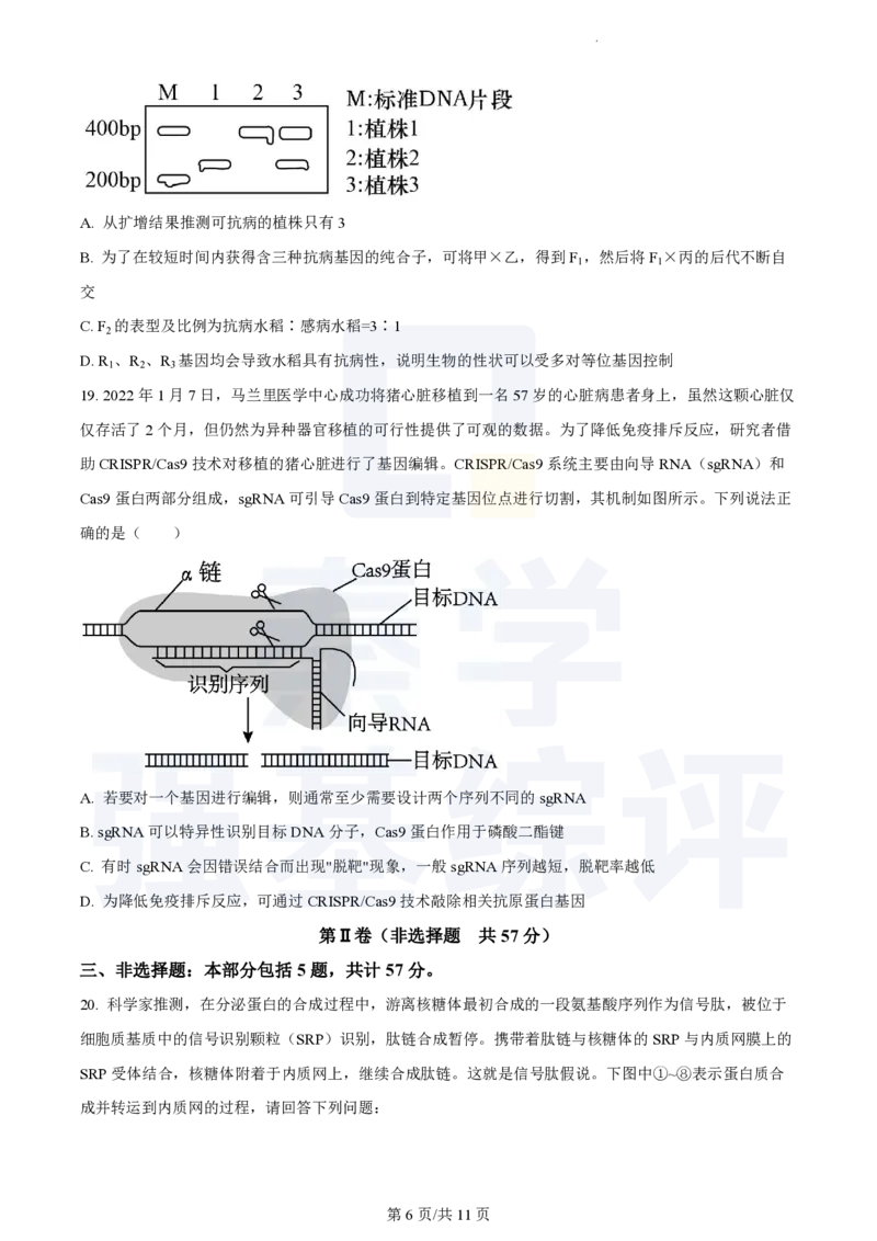 江苏省扬州中学2023-2024学年高三上学期10月月考生物(1)_2023年10月_0210月合集_2024届江苏省扬州中学高三上学期10月月考_江苏省扬州中学2024届高三上学期10月月考生物