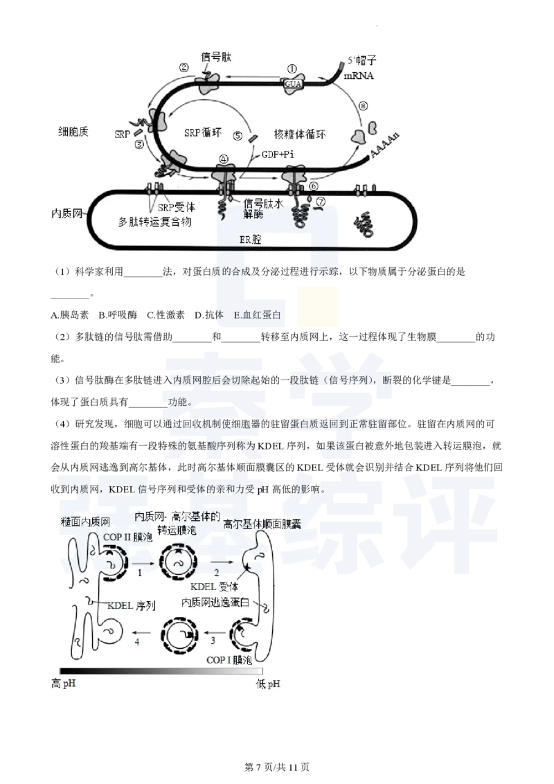 江苏省扬州中学2023-2024学年高三上学期10月月考生物(1)_2023年10月_0210月合集_2024届江苏省扬州中学高三上学期10月月考_江苏省扬州中学2024届高三上学期10月月考生物