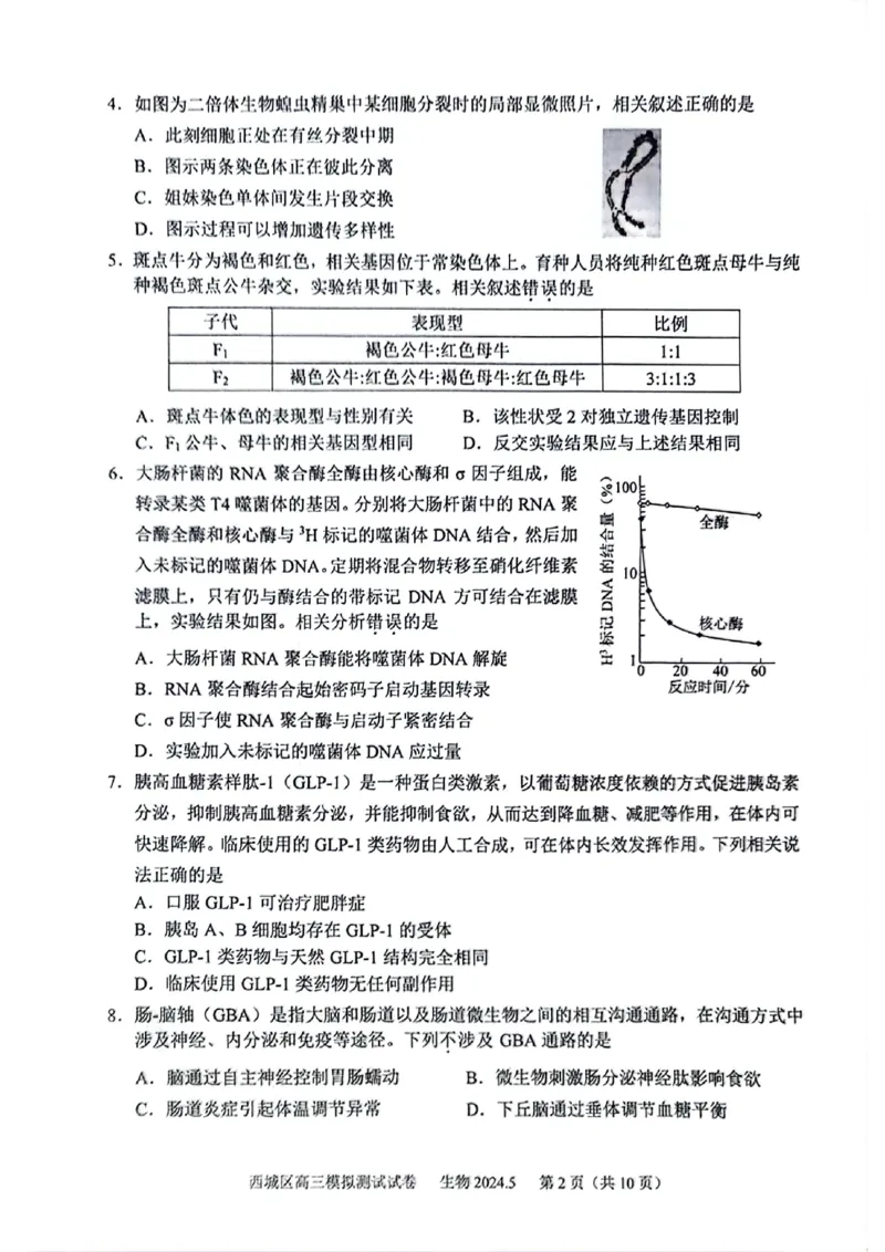 2024北京西城高三二模生物试题及答案(1)_2024年5月_025月合集_2024届北京西城高三二模