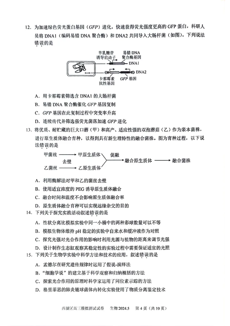 2024北京西城高三二模生物试题及答案(1)_2024年5月_025月合集_2024届北京西城高三二模