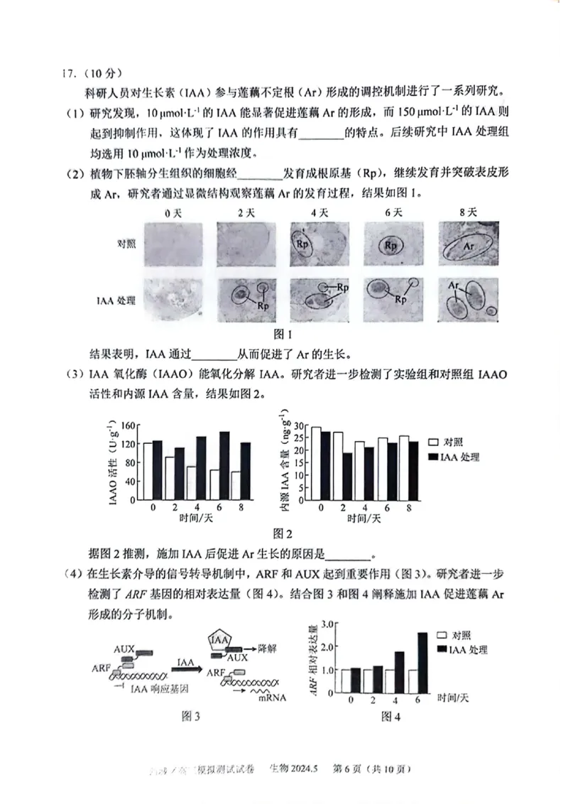 2024北京西城高三二模生物试题及答案(1)_2024年5月_025月合集_2024届北京西城高三二模