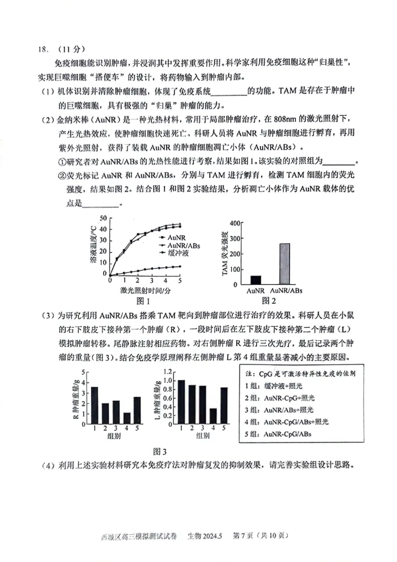 2024北京西城高三二模生物试题及答案(1)_2024年5月_025月合集_2024届北京西城高三二模