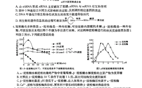 生物试题卷_2024年6月(1)_01按日期_01号_2024届湖南省炎德英才长郡中学高三模拟试卷(二)_湖南省长郡中学2024届高三年级模拟试卷(二)生物
