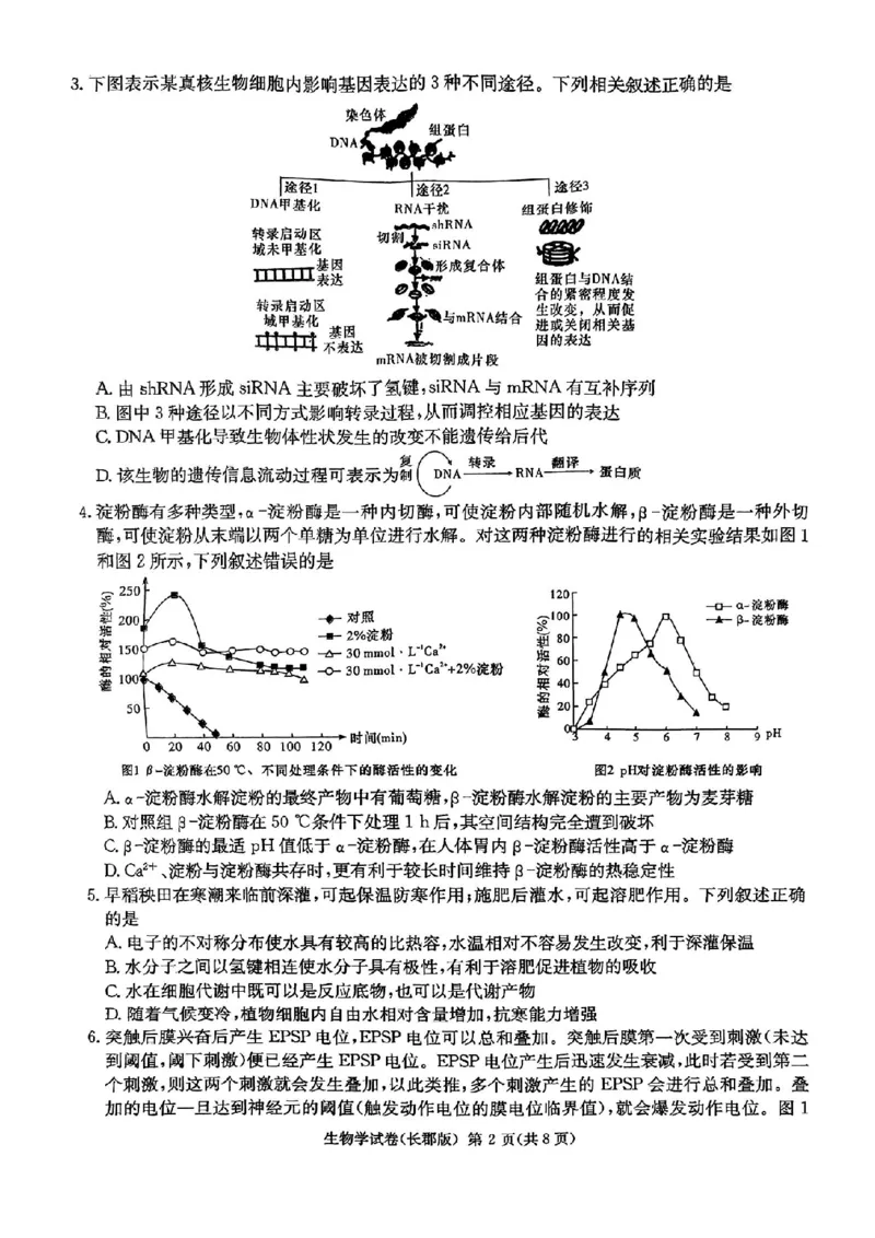 生物试题卷_2024年6月(1)_01按日期_01号_2024届湖南省炎德英才长郡中学高三模拟试卷(二)_湖南省长郡中学2024届高三年级模拟试卷(二)生物
