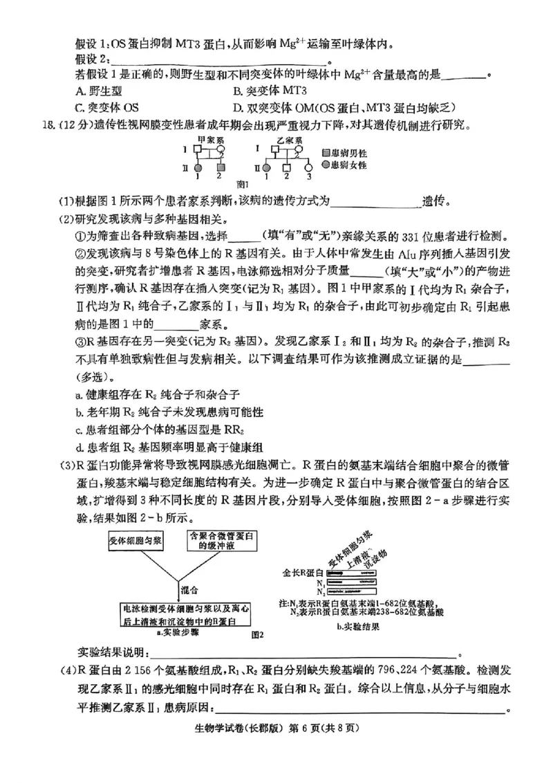 生物试题卷_2024年6月(1)_01按日期_01号_2024届湖南省炎德英才长郡中学高三模拟试卷(二)_湖南省长郡中学2024届高三年级模拟试卷(二)生物