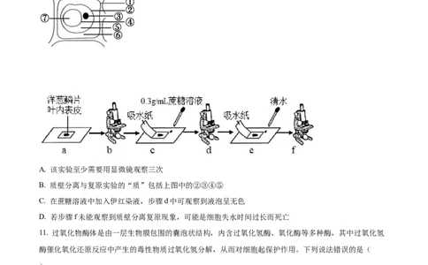 精品解析：重庆市西北狼教育联盟2023-2024学年高三上学期开学考试生物试题（原卷版）_2023年9月_01每日更新_14号_2024届重庆市西北狼教育联盟高三上学期开学考试