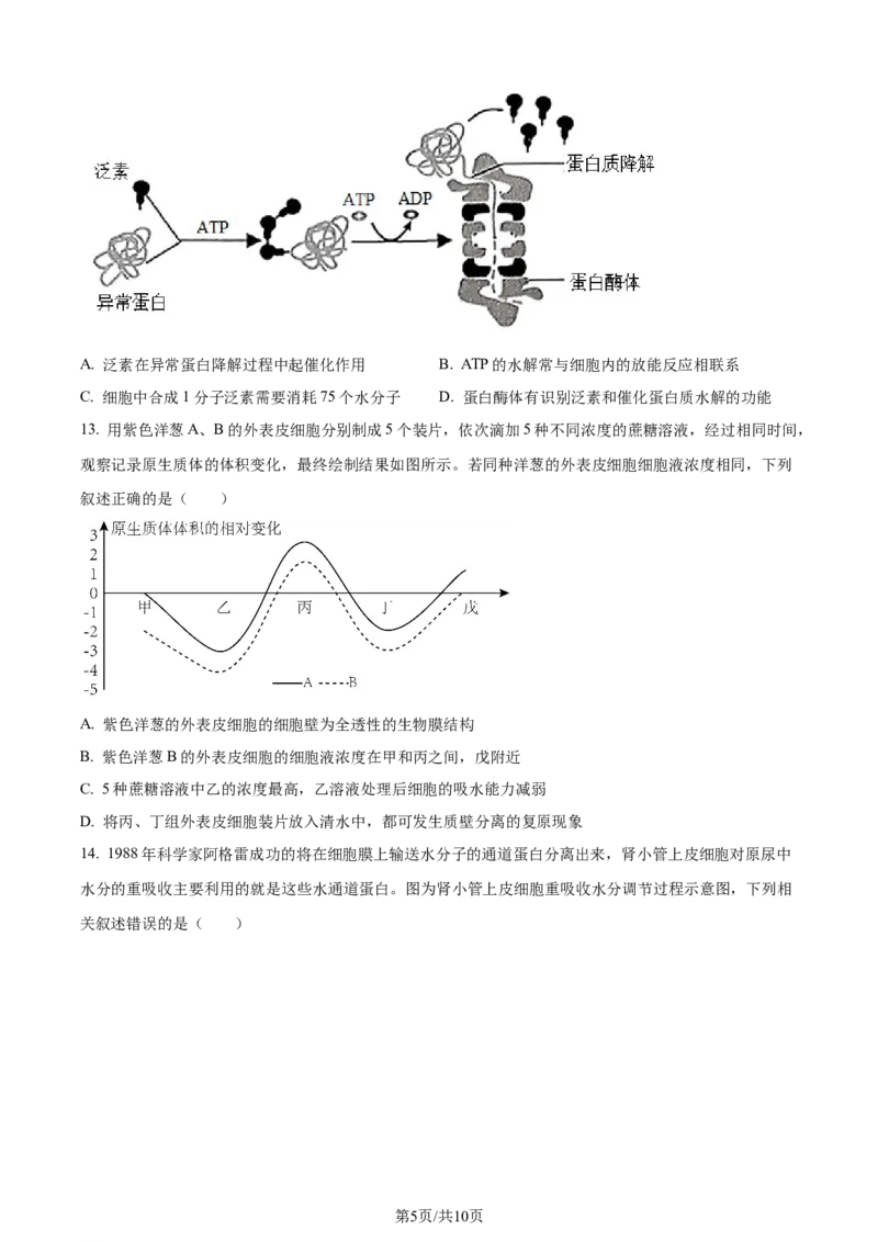 精品解析：重庆市西北狼教育联盟2023-2024学年高三上学期开学考试生物试题（原卷版）_2023年9月_01每日更新_14号_2024届重庆市西北狼教育联盟高三上学期开学考试
