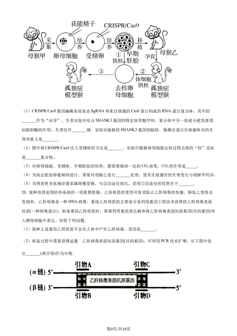 精品解析：重庆市西北狼教育联盟2023-2024学年高三上学期开学考试生物试题（原卷版）_2023年9月_01每日更新_14号_2024届重庆市西北狼教育联盟高三上学期开学考试