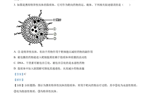 精品解析：江苏省南通市海安市海安市实验中学2023-2024学年高三10月月考生物试题（解析版）(1)_2023年10月_0210月合集_2024届江苏省海安市实验中学高三上学期10月月考