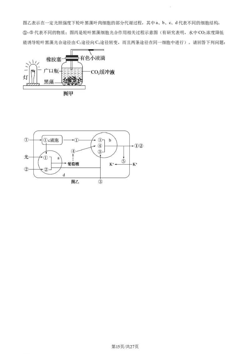 精品解析：江苏省南通市海安市海安市实验中学2023-2024学年高三10月月考生物试题（解析版）(1)_2023年10月_0210月合集_2024届江苏省海安市实验中学高三上学期10月月考