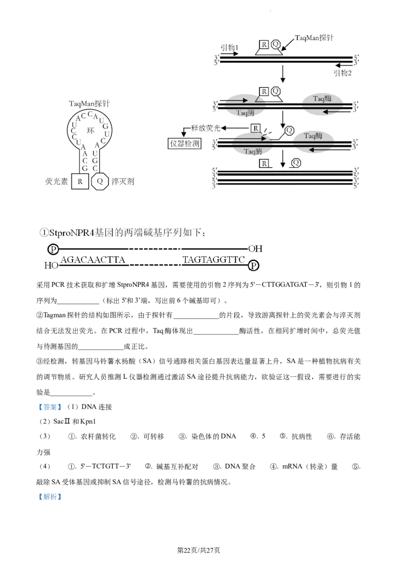 精品解析：江苏省南通市海安市海安市实验中学2023-2024学年高三10月月考生物试题（解析版）(1)_2023年10月_0210月合集_2024届江苏省海安市实验中学高三上学期10月月考