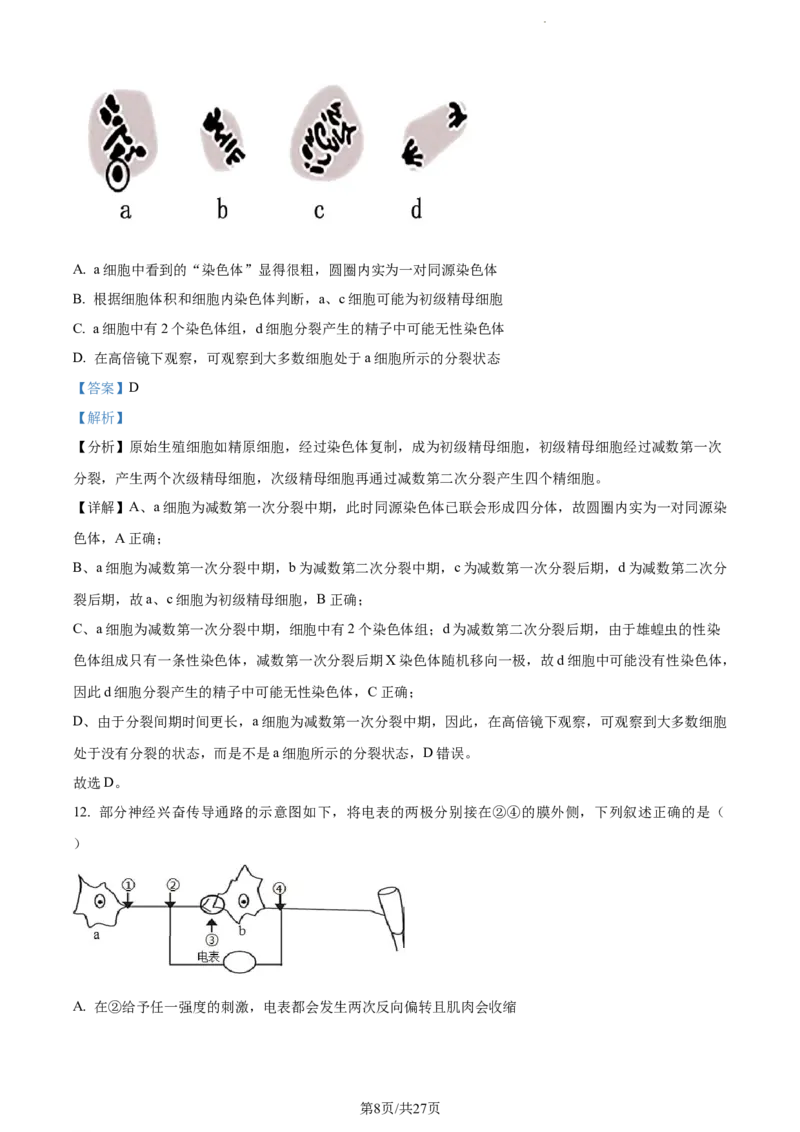 精品解析：江苏省南通市海安市海安市实验中学2023-2024学年高三10月月考生物试题（解析版）(1)_2023年10月_0210月合集_2024届江苏省海安市实验中学高三上学期10月月考