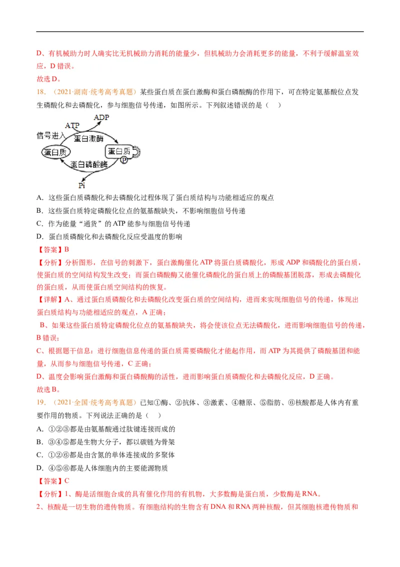 专题01组成细胞的分子-五年（2019-2023）高考生物真题分项汇编（全国通用）（解析版）_赠送：2008-2024全套高考真题_高考生物真题_送高考生物五年真题(2019-2023)分项汇编（全国通用）