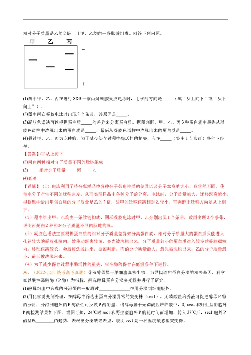 专题01组成细胞的分子-五年（2019-2023）高考生物真题分项汇编（全国通用）（解析版）_赠送：2008-2024全套高考真题_高考生物真题_送高考生物五年真题(2019-2023)分项汇编（全国通用）