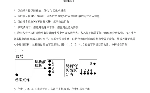 精品解析：江苏省扬州市高邮市2023-2024学年高三上学期开学生物试题（原卷版）_2023年9月_01每日更新_16号_2024届江苏省高邮市高三上学期期初学情调研测试