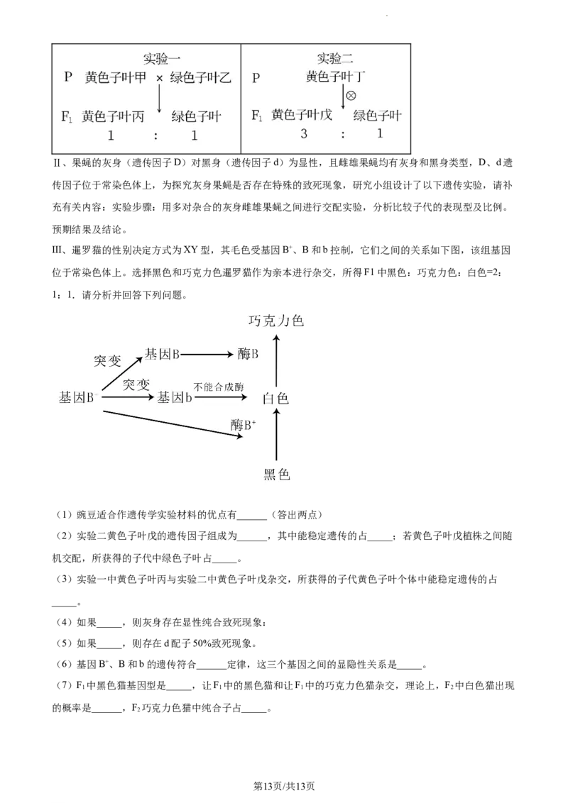 精品解析：江苏省扬州市高邮市2023-2024学年高三上学期开学生物试题（原卷版）_2023年9月_01每日更新_16号_2024届江苏省高邮市高三上学期期初学情调研测试