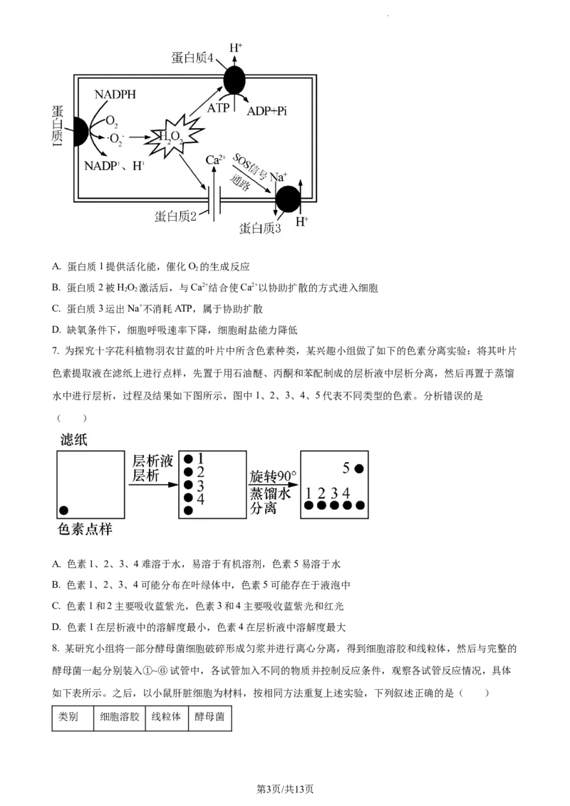 精品解析：江苏省扬州市高邮市2023-2024学年高三上学期开学生物试题（原卷版）_2023年9月_01每日更新_16号_2024届江苏省高邮市高三上学期期初学情调研测试