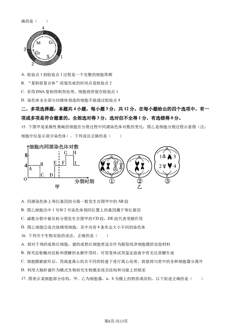 精品解析：江苏省扬州市高邮市2023-2024学年高三上学期开学生物试题（原卷版）_2023年9月_01每日更新_16号_2024届江苏省高邮市高三上学期期初学情调研测试