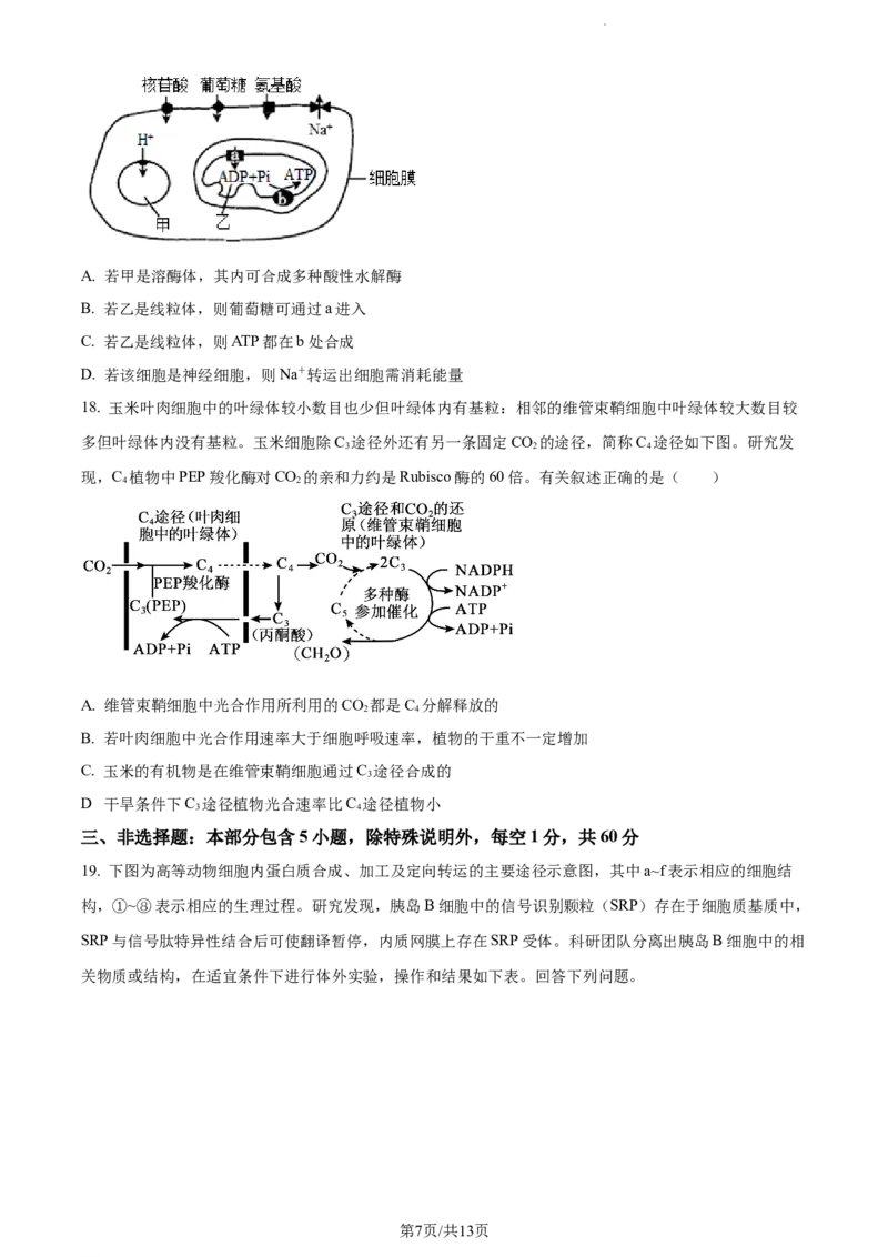 精品解析：江苏省扬州市高邮市2023-2024学年高三上学期开学生物试题（原卷版）_2023年9月_01每日更新_16号_2024届江苏省高邮市高三上学期期初学情调研测试