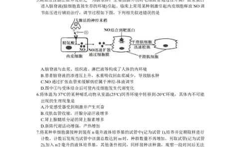 2024届吉林省长春市高三下学期质量监测（四）生物试题_2024年5月_01按日期_12号_2024届吉林省长春市高三下学期四模试题_2024届吉林省长春市高三下学期质量监测（四）生物试题