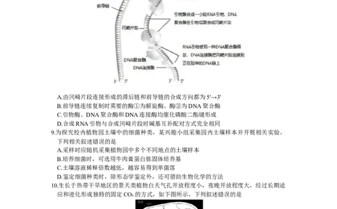 2024届吉林省长春市高三下学期质量监测（四）生物试题_2024年5月_01按日期_12号_2024届吉林省长春市高三下学期四模试题_2024届吉林省长春市高三下学期质量监测（四）生物试题