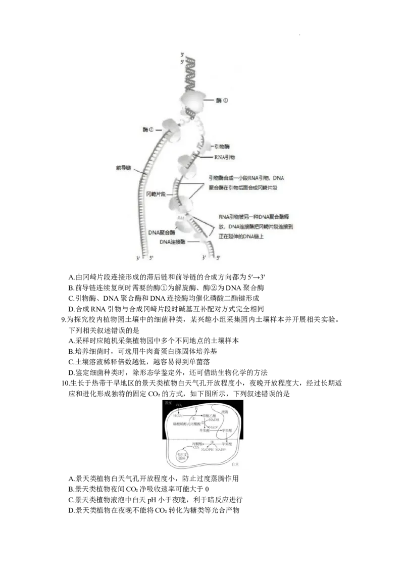 2024届吉林省长春市高三下学期质量监测（四）生物试题_2024年5月_01按日期_12号_2024届吉林省长春市高三下学期四模试题_2024届吉林省长春市高三下学期质量监测（四）生物试题